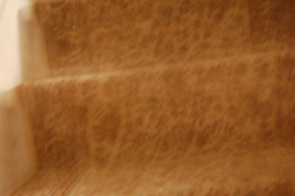 DSC 1 (1945)